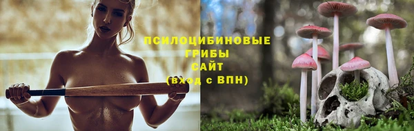 мдма Каменка