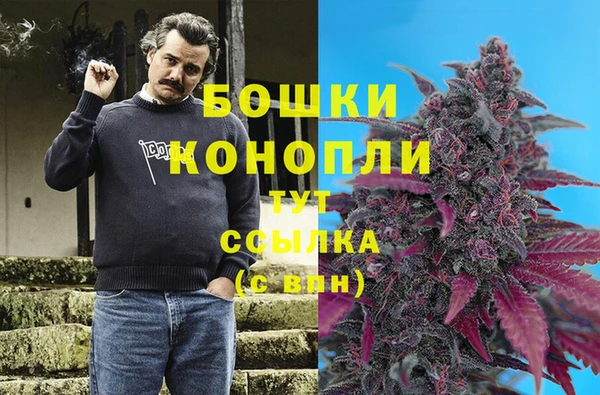 тгк Инта
