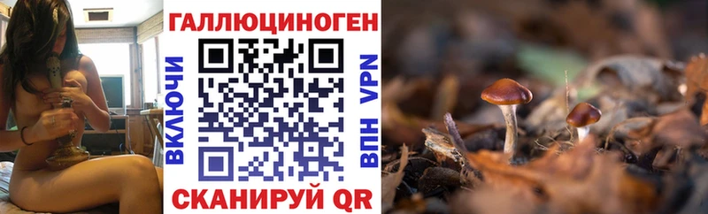 Галлюциногенные грибы Psilocybine cubensis  Купить  Южно-Сахалинск 